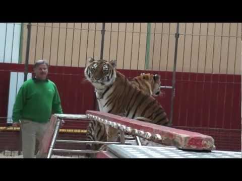 Freundschaft mit Raubtieren (ReUp).mp4