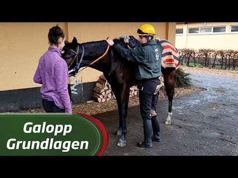 Galopp Grundlagen #12 Aufsitzen