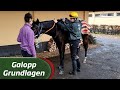 Galopp Grundlagen 12 Aufsitzen