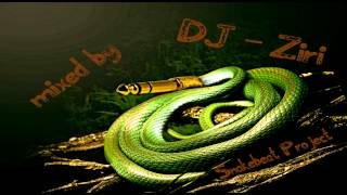 Snakebeat Project Hands Up Mix # 9 mixed by DJ - Ziri