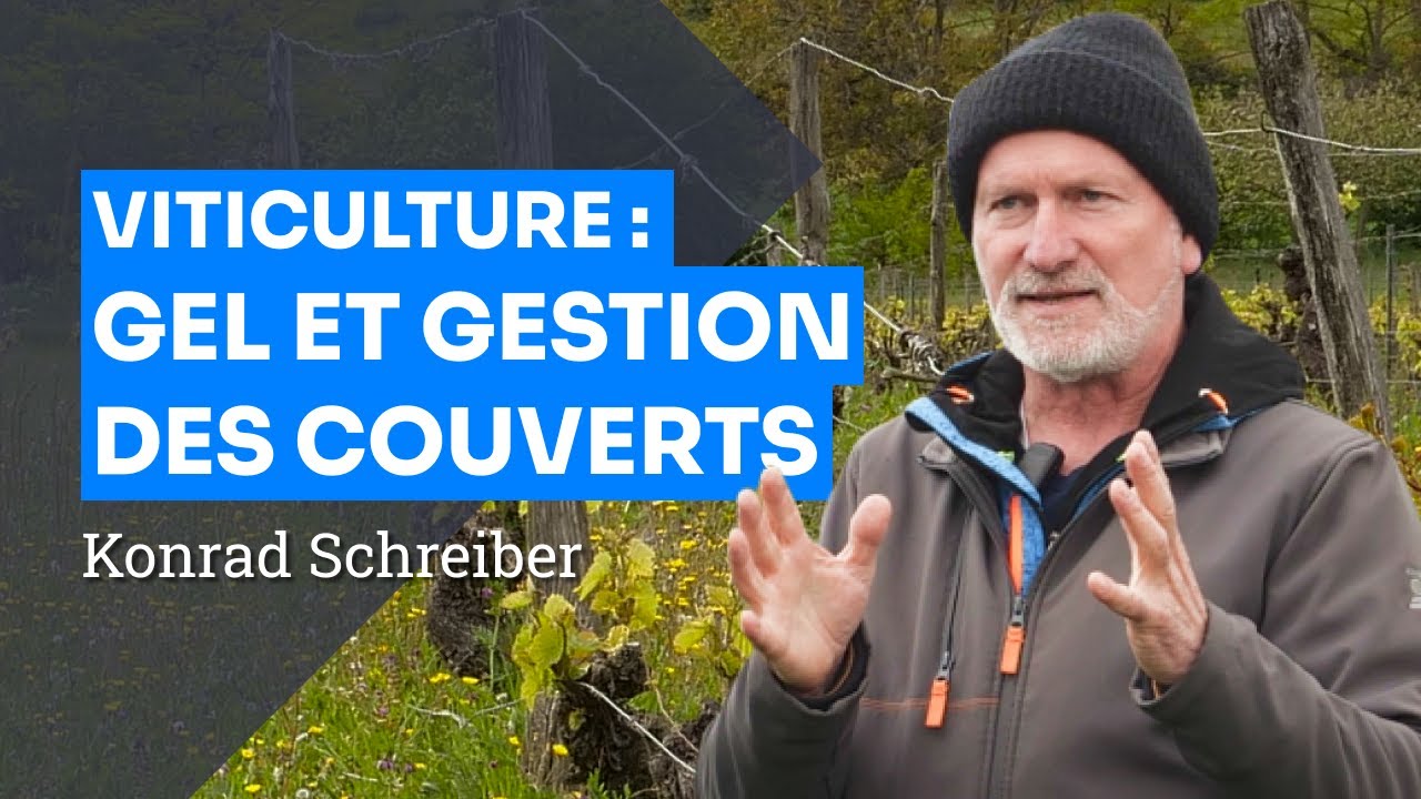 Gel, couvert végétal, nutrition foliaire : observation en Auvergne, K Schreiber - formation 2/3