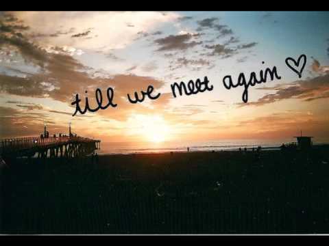 Project ab8800880088 pres. Push - Tiil We Meet Again (Original Mix)