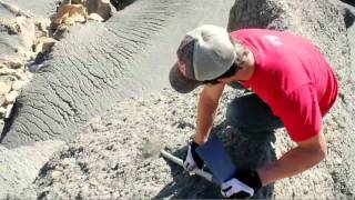 Berrecloth Search & Destroy