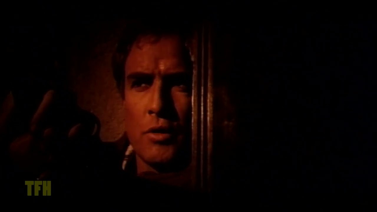 Daniel Kremer on THE APPALOOSA