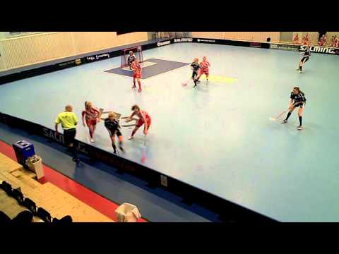 Damer Div. 2 160211 Lindås IBK - Pixbo Wallenstam IBF (3-4) HD Per3