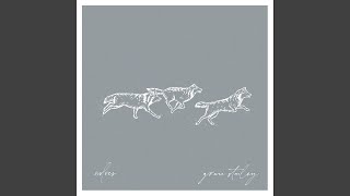Wolves Music Video