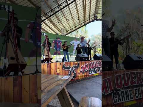 Simón Blanquez cover (Soledad )