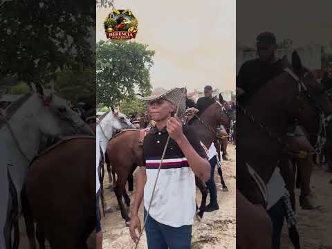 🐎🔥 Segundo día de carreras en Las Delicias – Arjona, Bolívar