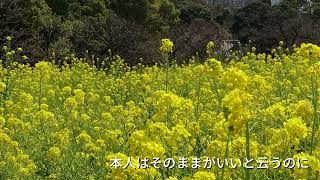 小3の頃に思いついて以来12年間頭から離れない合唱曲をDAWに書き出して忘れようの会