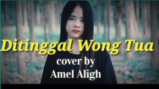 Download lagu DITINGGAL WONG TUA mp3