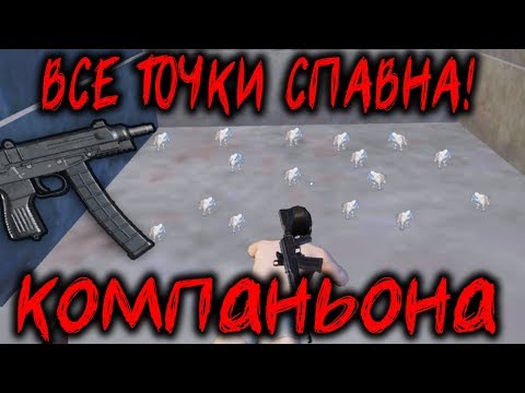 Обновление 12.5 Тест Скорпиона и все точки спавна компаньона ! pubg mobile