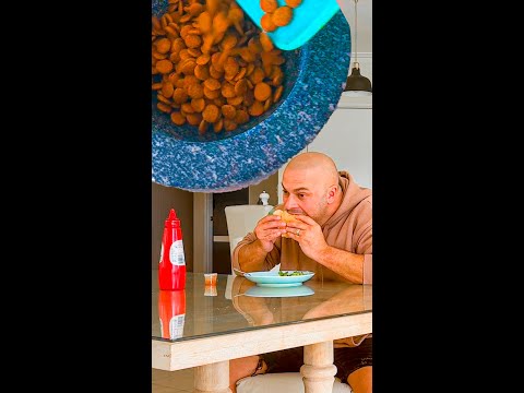 Talk About a Dog Act!