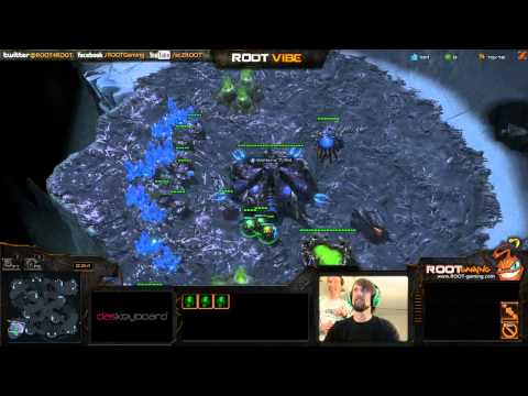 ROOT.ViBE's Brother 8 pools EG.ThorZainRC