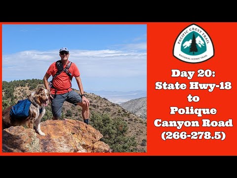 PCT Day 20 (Mile 266-278.5)