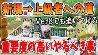ドラクエ10 Ver8でも追いつける！初心者が真っ先にやるべきことを解説してみた！上級者への一本道