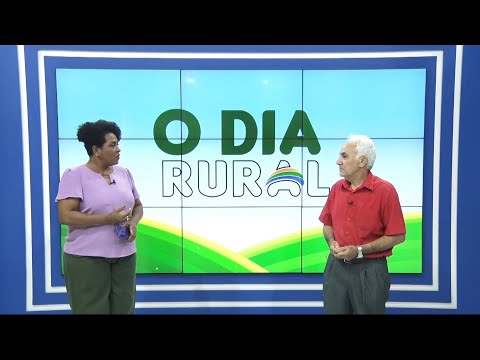 Pedro Andrade fala sobre pesquisa do IBGE em extrativismo vegetal e silvicultura 09 10 2021