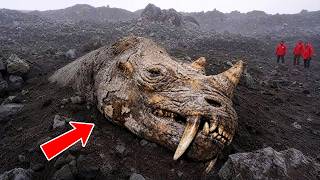 6 Prehistoric Animals Caught Alive in Volcanic Ash (Perfectly Preserved)
