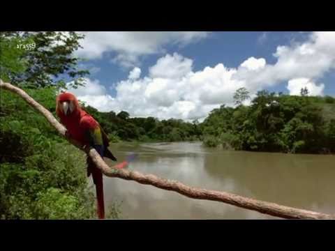 ||| Life Is Not Always So Colourful ! |||