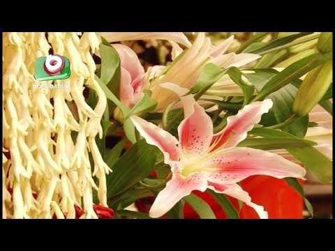 ফুল বাণিজ্যের শুরু, বিস্তৃতি ও সম্ভাবনা | Flower Trade Of Bangladesh | Sayed | Pkg1 | Nov 2016
