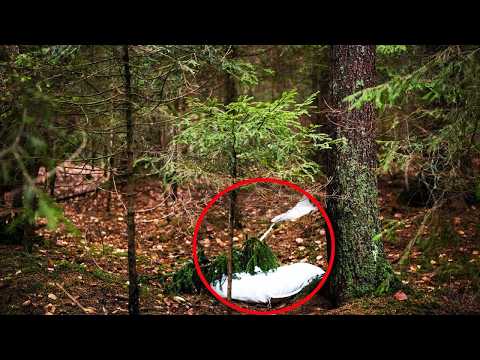 森の中で動物の悲鳴を聞いた男性が、声の聞こえる方に行ってみると・・・