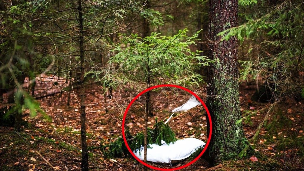 森の中で動物の悲鳴を聞いた男性が、声の聞こえる方に行ってみると・・・