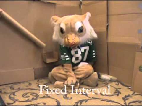 Operant Conditioning: The skinner box