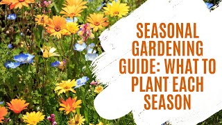 Seasonal Gardening Guide: What to Plant Each Season