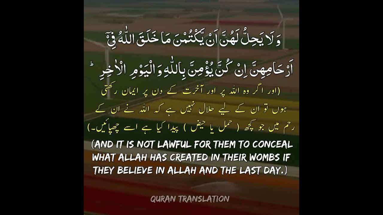 surah-baqra-ayat-verse-228-with-urdu-u0026-english-translation