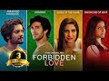 Forbidden Love Romantic Thriller Web Series Rannvijay Mahesh Manjrekar Aahana Kumra Ali Fazal
