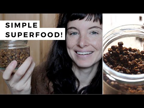 All about bee bread & simple ways to eat it