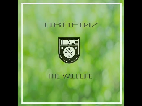 Orde107 - March Of The Army Ants (Original Mix)