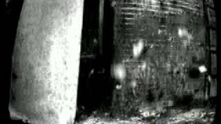 Cemali - Simdi Hayallerdesin