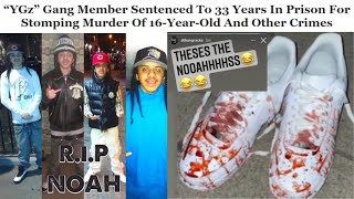 The 16 Year Old Who's Death Sparked Bronx's Deadly Gang War - [YGz v OGz]