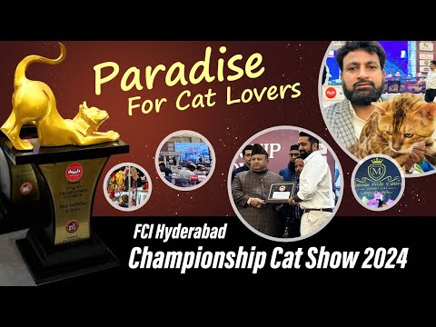 FCI Hyderabad Championship Cat Show 2024 | Show Tour | Deccan Pride 🐈#cat #catlover #catshow #fci
