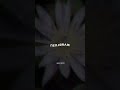 Un Kannoram Kannoram Song