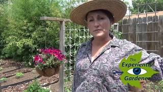 Bird Nesting Season and Your Garden