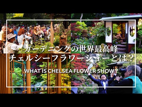 フラワーショー チェルシーフラワーショー2018 - The Claims Guys - とても英国風の庭園