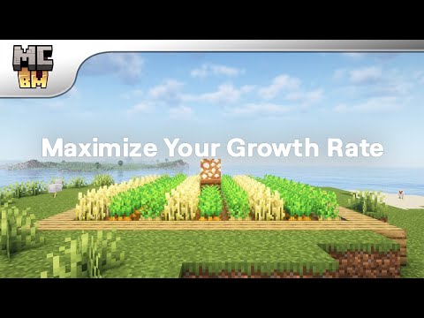Minecraft Crop Farming Guide - How to Make Crops Grow Fast | Minecraft Basic Mechanics
