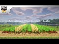 Minecraft Crop Farming Guide - How to Make Crops Grow Fast