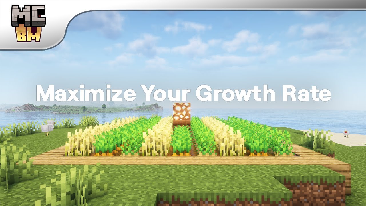 Minecraft Crop Farming Guide - How to Make Crops Grow Fast | Minecraft Basic Mechanics