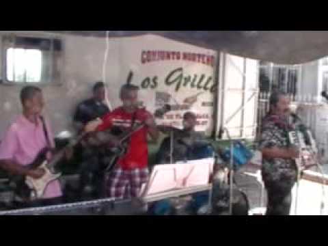 los Grillos en concierto en una voda #7