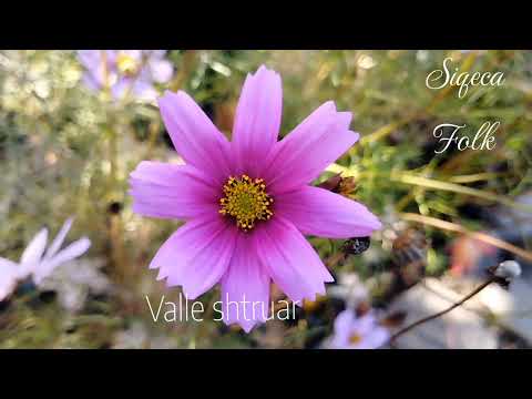 Popullore Jugu (valle shtruar)