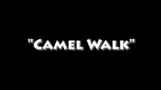 Camel Walk by Teisco Del Rey ft. Webb Wilder