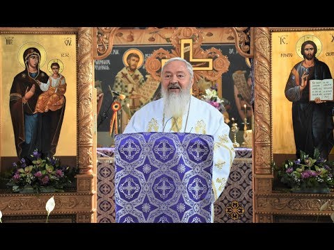 Cuvânt IPS Andrei - Suflete slăbănoage - 24 martie 2019