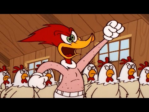 La revolución de los pollos | El Pájaro Loco