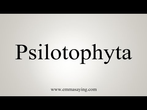 How To Say Psilotophyta