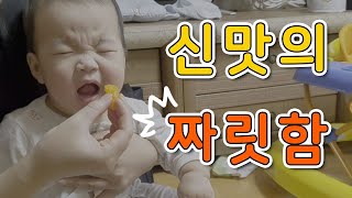 [생후223일] 신맛의 짜릿함