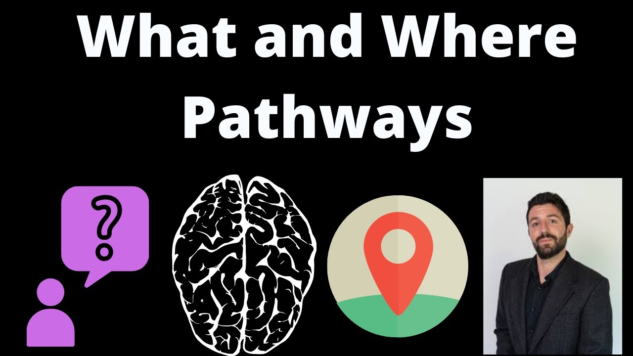 What Is The Pathway And Where Pathway Archive EN what-is-the-pathway-and-where-pathway-archive-en