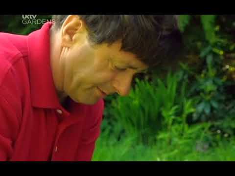 Ground Force S04E02   Whitford