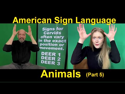 Lesson 12 Story B Cäsar Jacobson Dr Bill ASLU Lifeprint com American Sign Language ASL